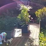 샬레 Dans Un Parc Privatif Arbore *