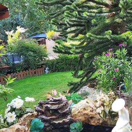 Dans Un Parc Privatif Arbore * Réau