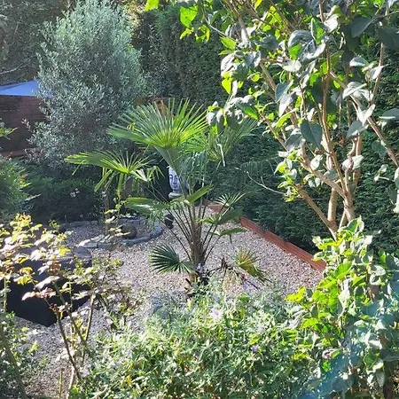 Dans Un Parc Privatif Arbore Réau